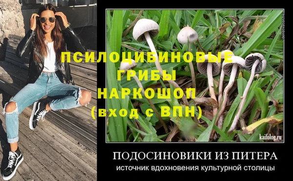 ECSTASY Алексин