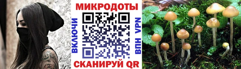 Псилоцибиновые грибы MAGIC MUSHROOMS  МЕГА рабочий сайт  Усть-Илимск  продажа наркотиков 